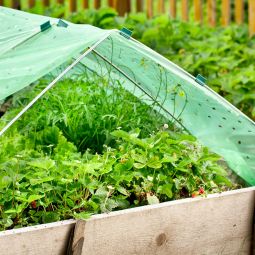 Windhager Folien-Tunnel Komplett-Set XL 10x1,5 3