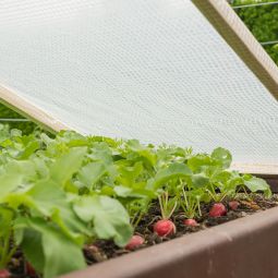 Windhager Gitter-Folie Gewächshausfolie 6x2 m, 5