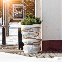 Windhager Winter-Kälteschutzfolie Frostschutz 5x1m 60µm 3