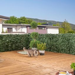 Windhager Sichtschutzhecke Ahornoca 6