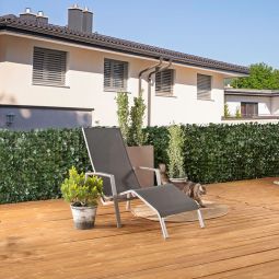 Windhager Sichtschutzhecke Ahornoca 5