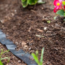 Windhager Unkrautfolie ANTIWEED 15x0,9 m 6