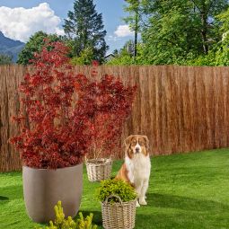 Windhager Sichtschutzmatte Inaka 6