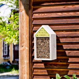 Windhager Insektenhotel Box Insektenhaus 4