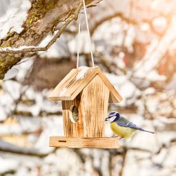 Windhager Vogelfutterhaus Cottage geflammt Futtersilo 3