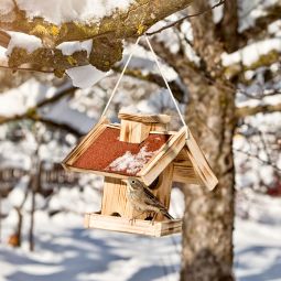 Windhager Vogelfutterhaus Gaisberg Futtersilo Futterstation 3