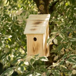 Windhager Nistkasten Family Vogelhaus Brutkasten 3