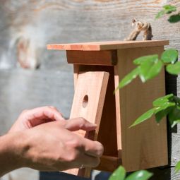Windhager Nistkasten Birdy Vogelhaus Brutkasten 3