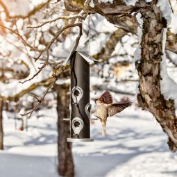 Windhager Vogelfuttersäule Saatmischung 35 cm 3