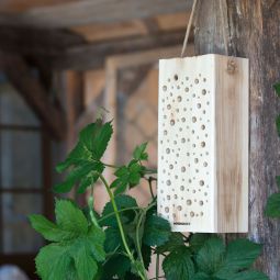 Windhager Wildbienennistholz 3