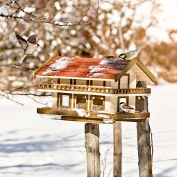 Windhager Vogelfutterhaus Landhaus XXL Futtersilo 3