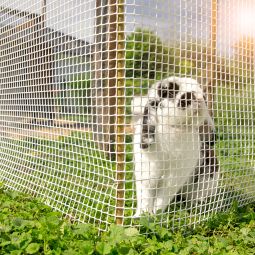 Windhager Maschengewebe weiß Kunststoff 1x3 3