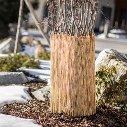 Windhager Schilfrohr-Winterschutzmatte Frostschutz 1 x 3