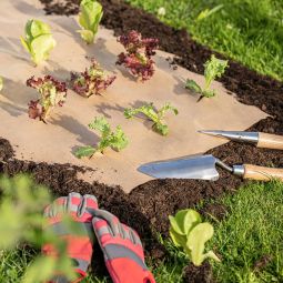 Windhager Öko Mulchpapier Unkrautschutz 10x0,9 3