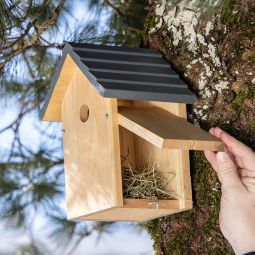 Windhager Nistkasten Cosy 4