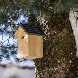 Windhager Nistkasten Cosy 5