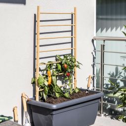 Windhager Holz-Rankhilfe Leiter 6