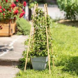 Windhager Holz-Rankhilfe Pyramide 50x50x145 cm 3