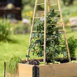 Windhager Holz-Rankhilfe Pyramide 50x50x145 cm 6