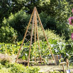 Windhager Holz-Rankhilfe Tipi 75x75x145 cm 3