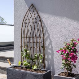 Windhager Weide-Rankgitter Spitzbogen 55x150cm 3