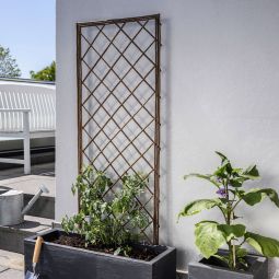 Windhager Weide-Rankgitter Rechteck Rankhilfe 55x150cm 3