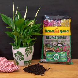 Floragard Blumenerde Universal 3