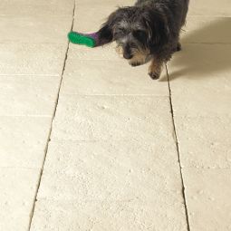 WESERWABEN Terrassenplatte Opus Champagne 6