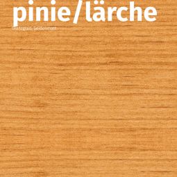 Remmers HK-Lasur 3in1 pinie/lärche RC-260 6