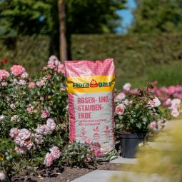 Floragard Rosen- und Staudenerde 3