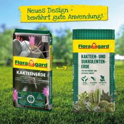 Floragard Blumenerde Kakteen und Sukkulenten 4