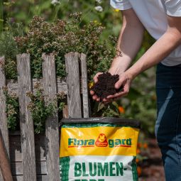 Floragard Blumenerde Universal 4