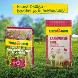 Floragard Karnivorenerde 3