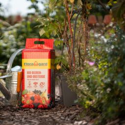 Floragard Bio Obst- und Beerenerde 3