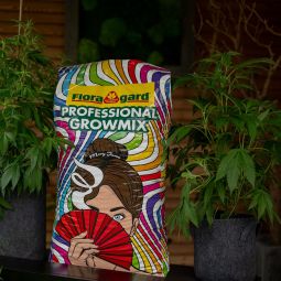 Floragard Professional Growmix Substrat 3