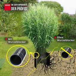 NOOR Wurzelblocker 4