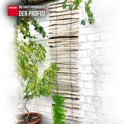 NOOR Haselnuss-Rankhilfe 50x200 cm 4