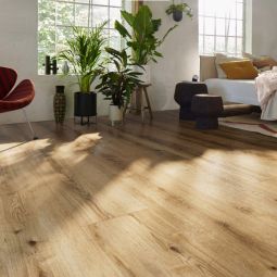 HARO DISANO WaveAqua Eiche Ontario 10