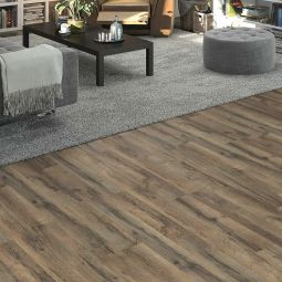 HARO Laminat Sonderedition NKL31 TC 4