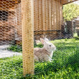 Windhager Kleintiergeflecht Sechseck-Geflechte verzinkt 3