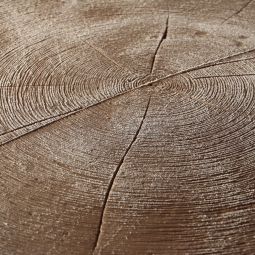 Rewatec Arves Regentonne Evergreen dunkelbraun 5