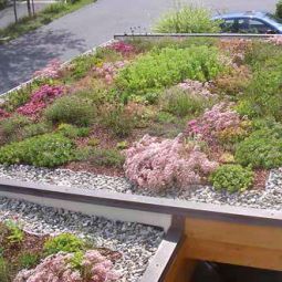 Bauder Gründach Standard-Paket 7