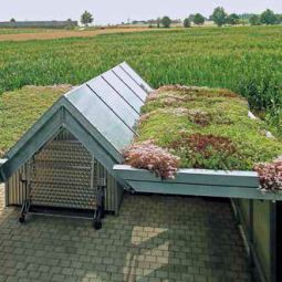 Bauder Gründach Standard-Paket 6