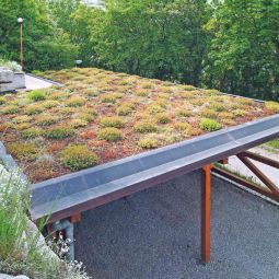 Bauder Gründach Standard-Paket 5