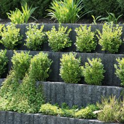 EHL Pflanzstein eckig Rasterflor grau 4