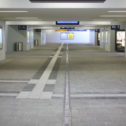 BIRCOlight Stegrost 6