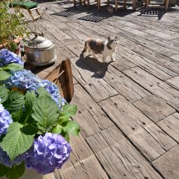 KANN Terrassenplatte LogSleeper Antik-braun 6