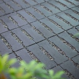 EHL City-Rasenstein 4