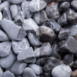 Zierkies Donaukies 5