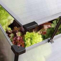 Pergart Frühbeet Levana 5